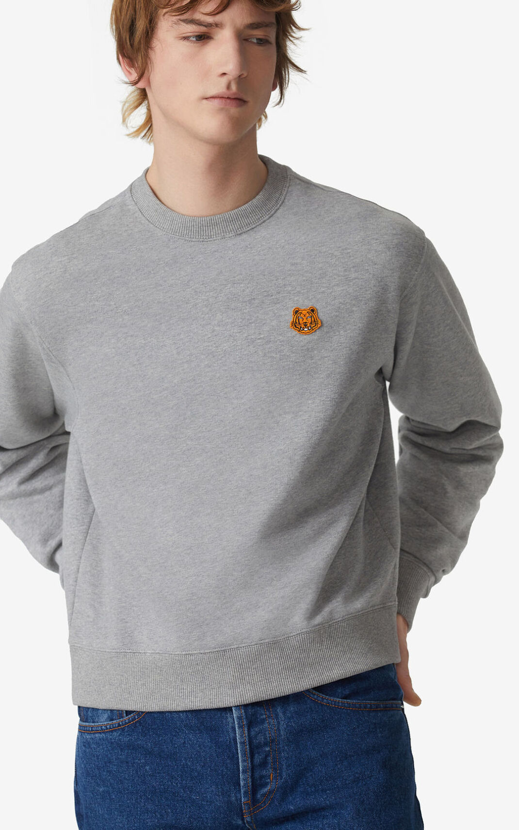 Kenzo Tiger Crest Sweatshirt Herr | 04315-AHEL